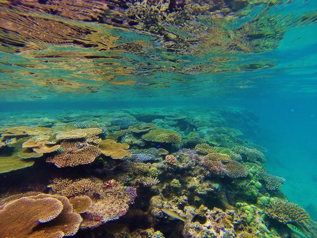 Mai Dive' Astrolabe Reef Resort Naqara Екстер'єр фото